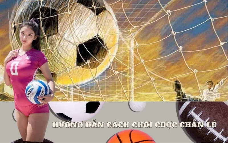 Hướng Dẫn Cách Chơi Cược Chẵn Lẻ