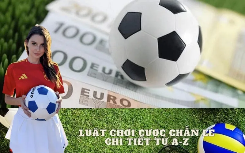 Luật Chơi Cược Chẵn Lẻ Chi Tiết